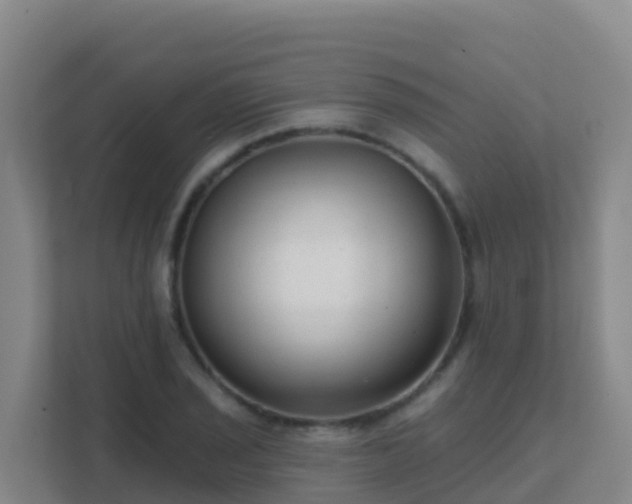 X0000111671029200907241208