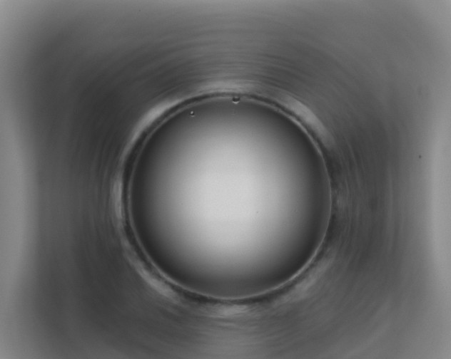 X0000111671030200907241208