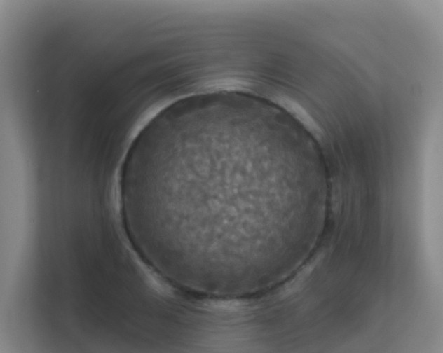 X0000111671031200907241208