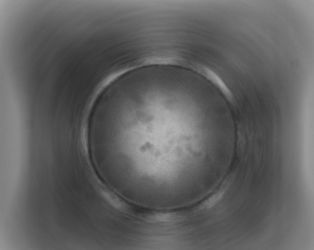 X0000111671035200907241208