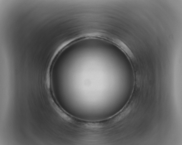 X0000111671036200907241208