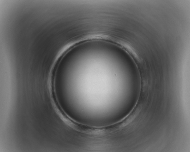 X0000111671038200907241208