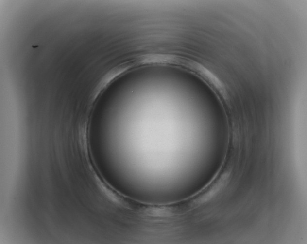 X0000111671041200907241208