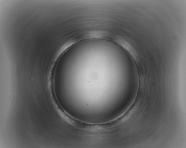 X0000111671042200907241208