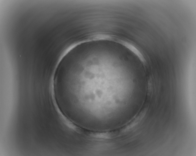 X0000111671047200907241208