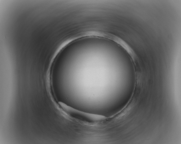 X0000111671048200907241208