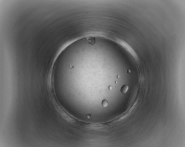 X0000111671052200907241208