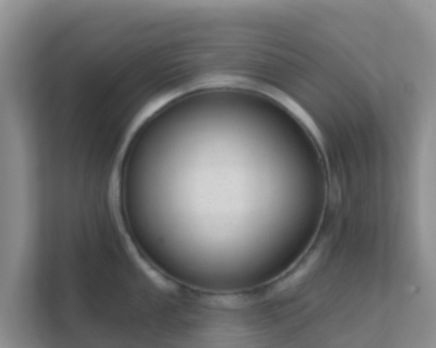 X0000111671053200907241208