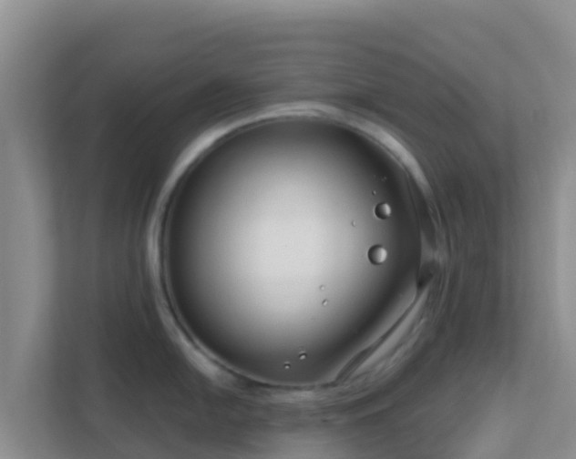 X0000111671054200907241208