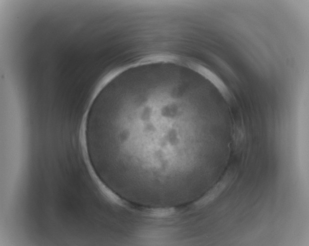 X0000111671055200907241208