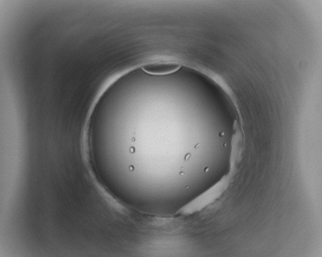 X0000111671056200907241208