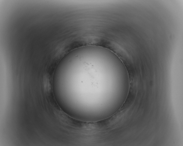 X0000111671058200907241208