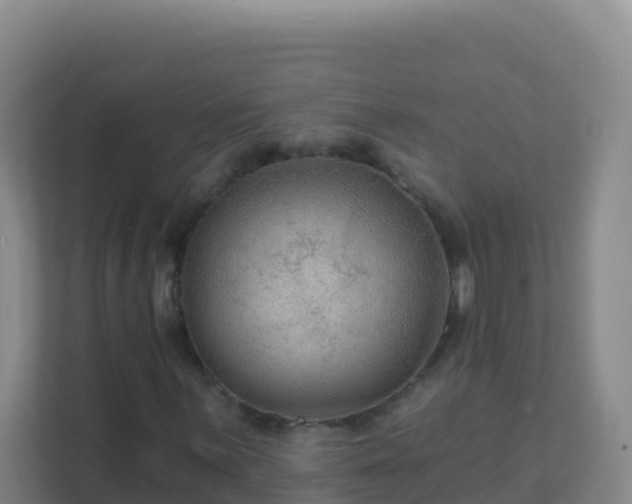 X0000111671059200907241208