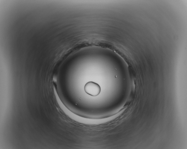 X0000111671060200907241208