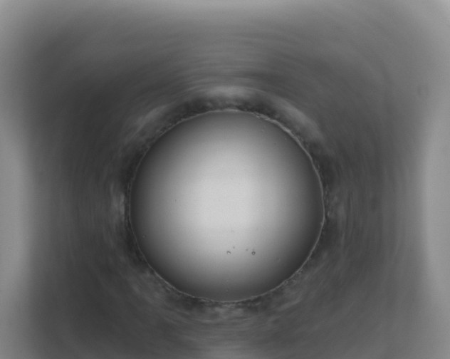 X0000111671061200907241208