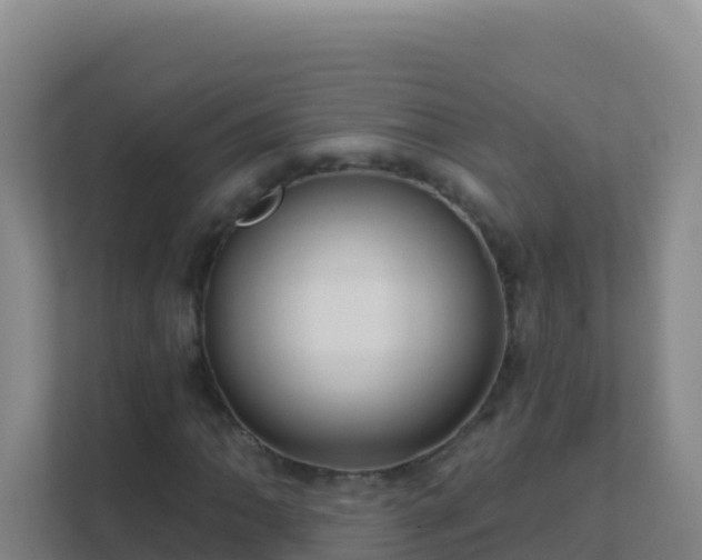 X0000111671062200907241208