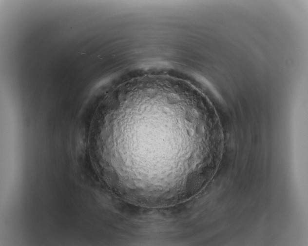 X0000111671063200907241208