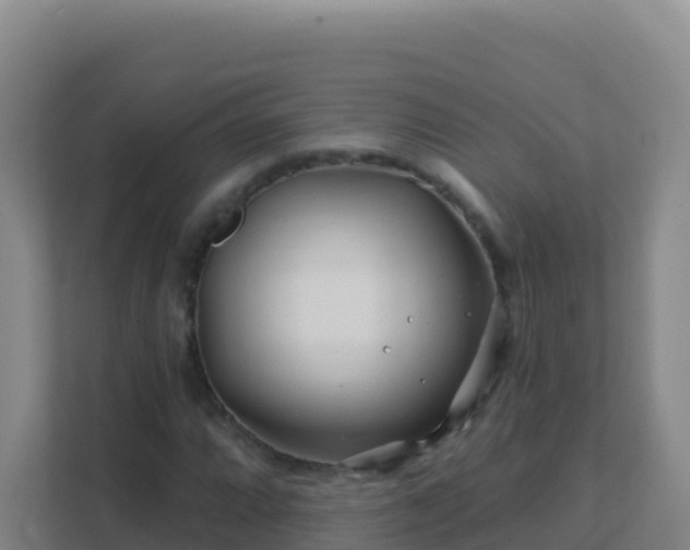 X0000111671064200907241207