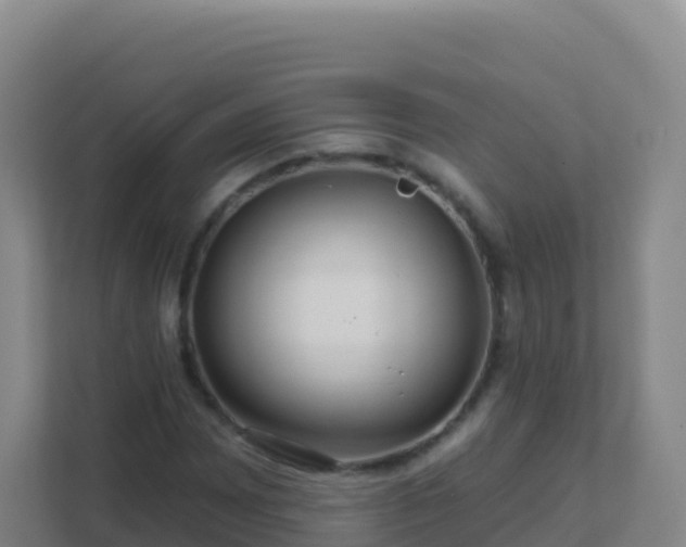 X0000111671065200907241207