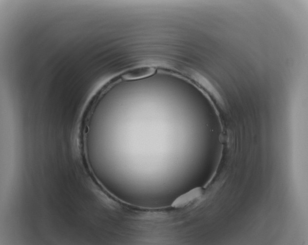 X0000111671068200907241207