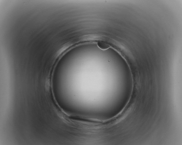 X0000111671073200907241207