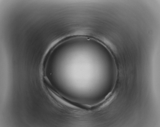 X0000111671077200907241207