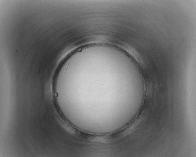 X0000111671078200907241207