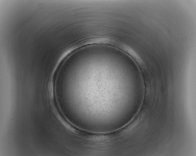 X0000111671079200907241207