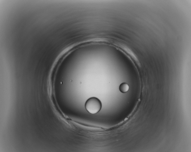 X0000111671080200907241207