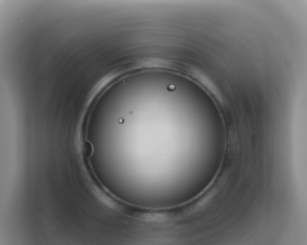 X0000111671082200907241207