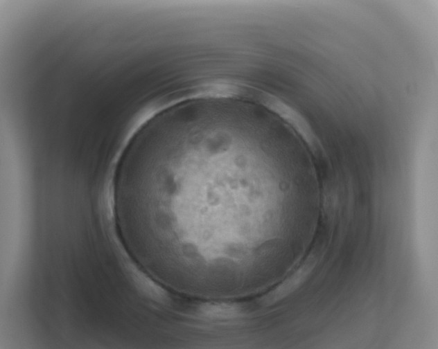 X0000111671083200907241207