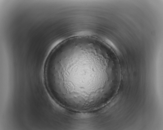 X0000111671087200907241207