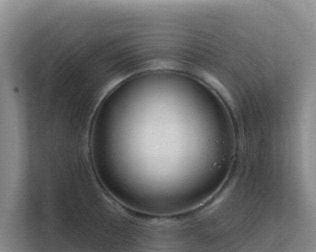 X0000111671089200907241207