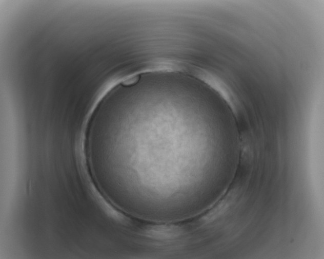 X0000111671091200907241207