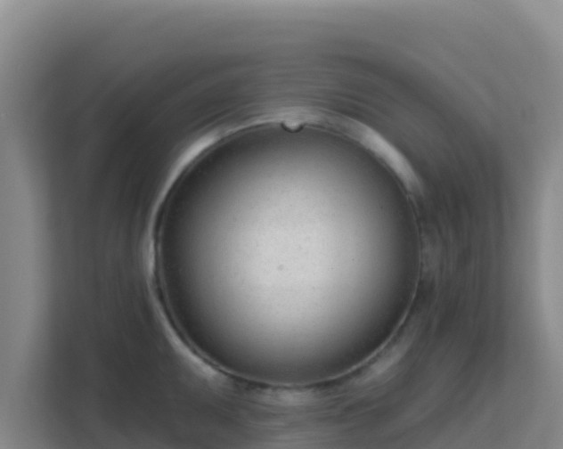 X0000111671095200907241207