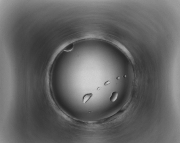 X0000111671096200907241207