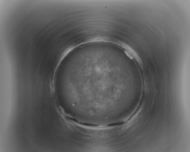 X0000111671097200907241207