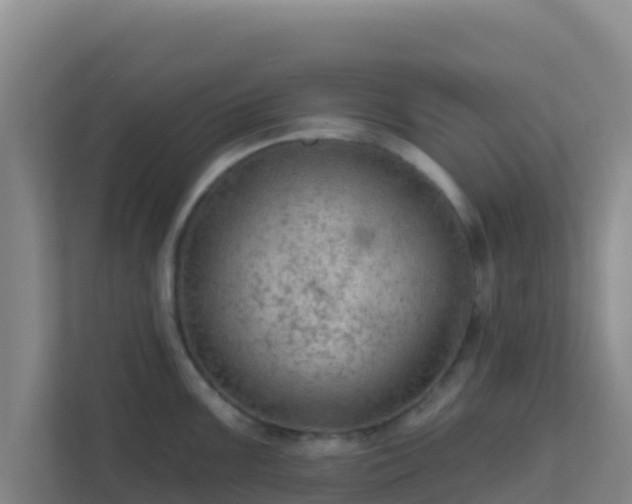 X0000111671099200907241207