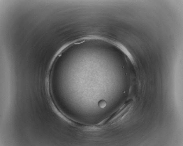 X0000111671100200907241207