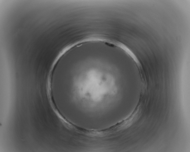 X0000111671101200907241207