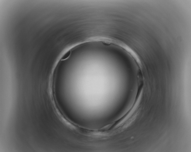 X0000111671102200907241207