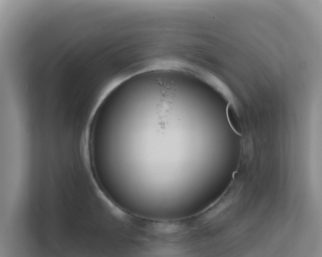 X0000111671103200907241207