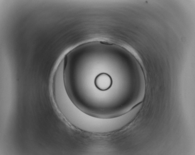 X0000111671104200907241207