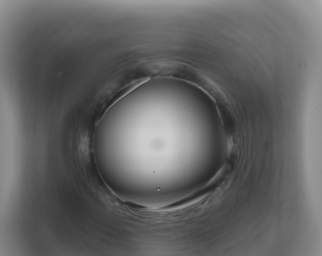 X0000111671108200907241206