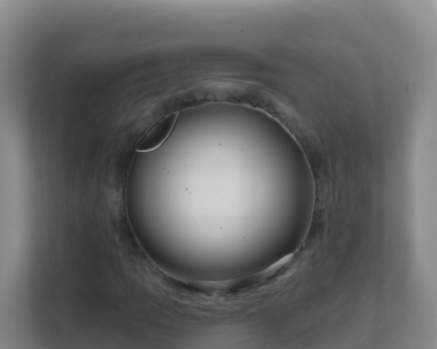 X0000111671109200907241206