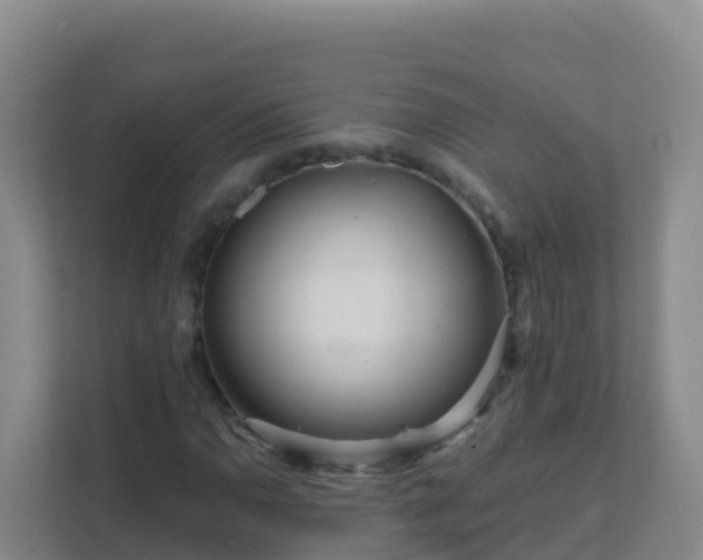 X0000111671110200907241206