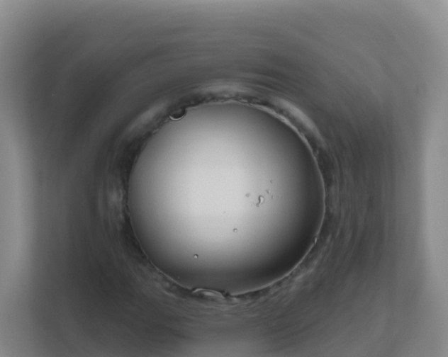 X0000111671111200907241206