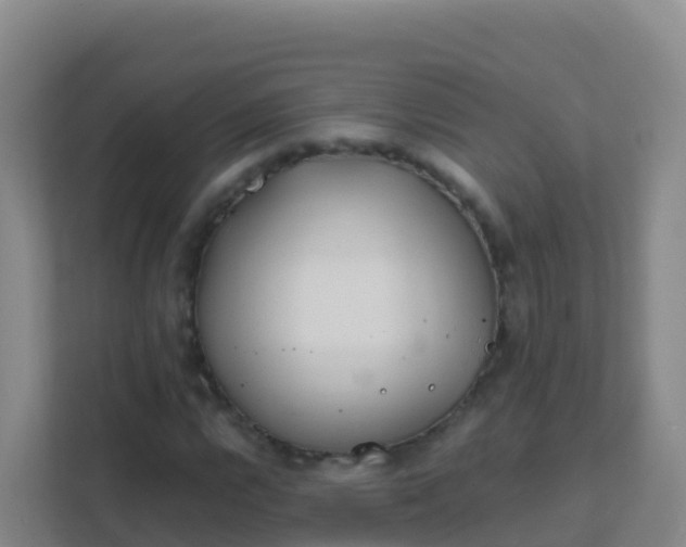 X0000111671112200907241206