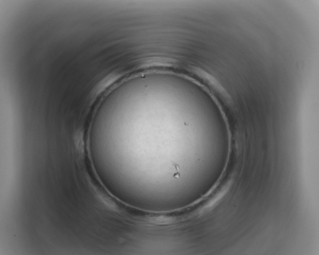 X0000111671113200907241206