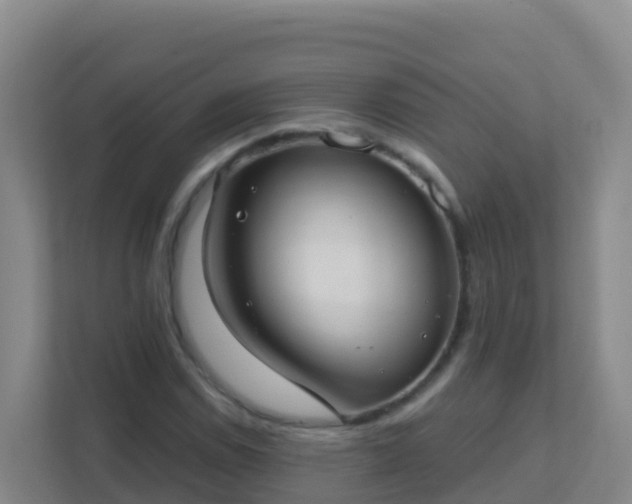 X0000111671114200907241206